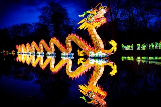 China Light ZOO : une idée lumineuse pour un cadeau de fin d’année inoubliable !