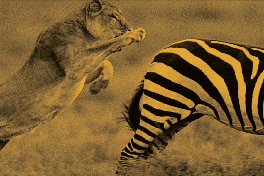 Les managers d'agences chassent à nouveau les jeunes talents lors de The Hunt