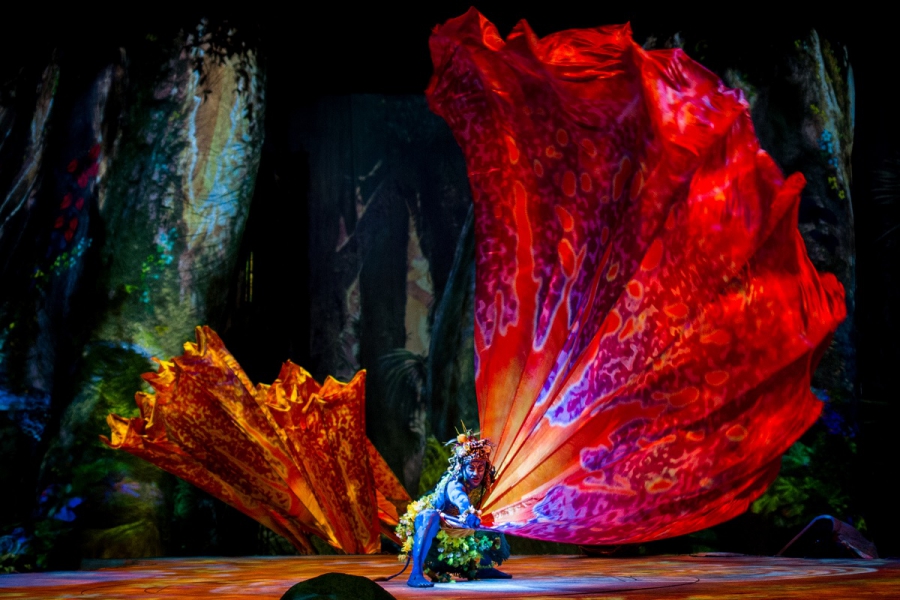 Cirque du Soleil presenteert TORUK – The First Flight
