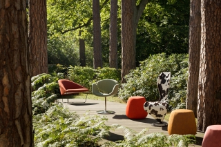 Dolce La Hulpe Brussels présente : "Immersion en Forêt"