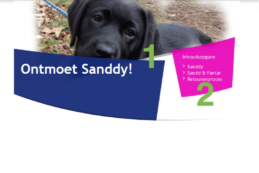 Un e-marketing qui a du chien
