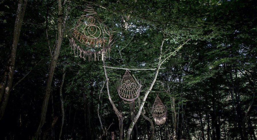 Jouw exclusieve event: Secret Forest by Night!