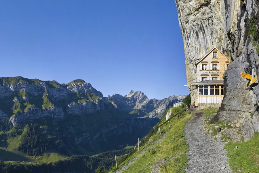 Workshop SCIB le 18 octobre 2017: "Retour à la nature"