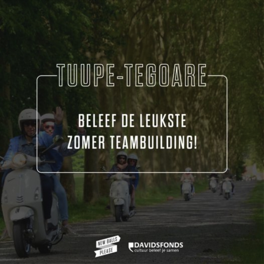 Tuupe-Tegoare - Beleef de leukste zomerteambuilding!