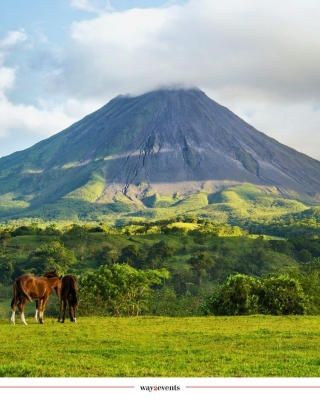 Un incentive entre volcans, jungle et rythmes caribéens
