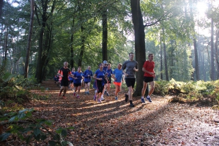 La Semaine de la Forêt bat des records