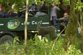 La saison des Family Days reprend au Domaine des Grottes de Han