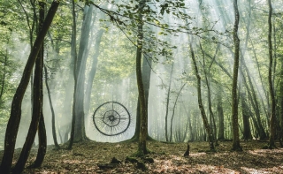 Découvrez la Forêt Secrète au Domaine des Grottes de Han !...