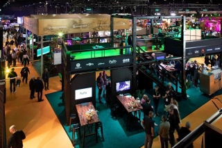 Networking à Festivak : trinquez avec le secteur événementiel