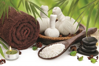 Sandton Brussels Pillows Wellness needs a helping hand