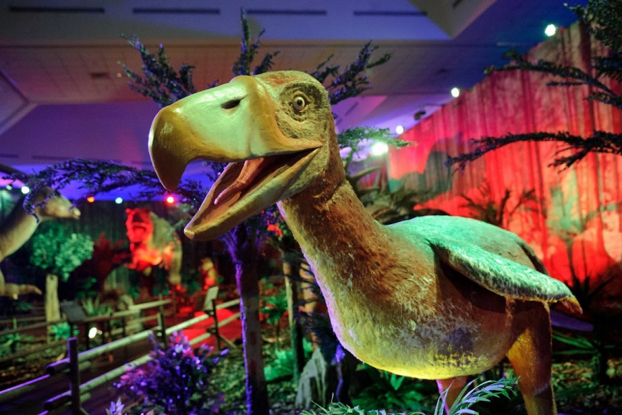 Een gigantisch avontuur met bewegende dino's. Kom als je durft!