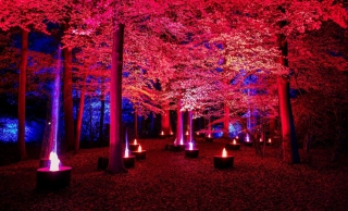 Rétrospective enflammée des vacances d’automne.