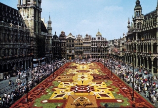 Le Tapis de Fleurs de Bruxelles est enfin de retour cet été !