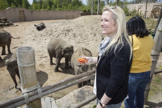 Met uw klanten of zakenrelaties dichter bij de dieren!