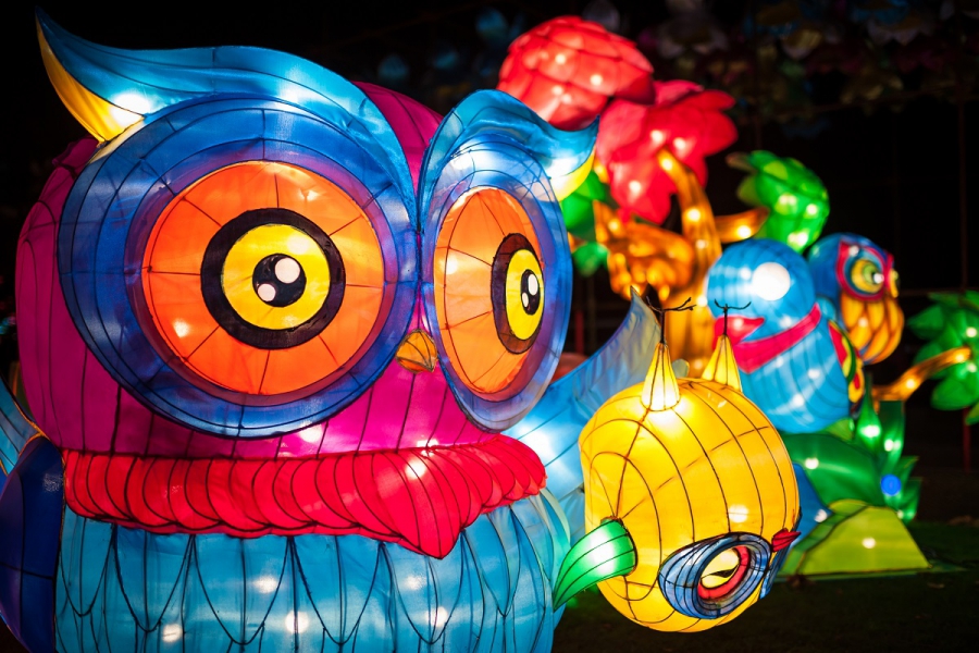 China Light ZOO a ouvert ses portes