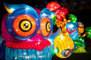China Light ZOO a ouvert ses portes