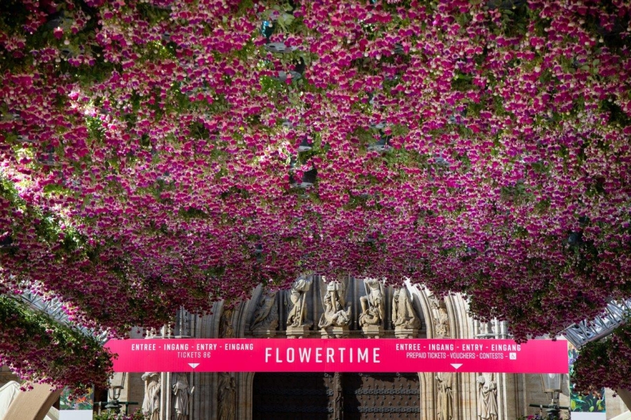 Flowertime: dit is geen stadhuis!