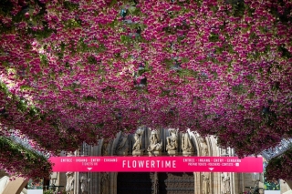 Flowertime: dit is geen stadhuis!
