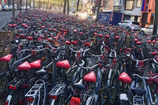 Act!events schotelt Belgische studenten lekkers voor met Colruyt!