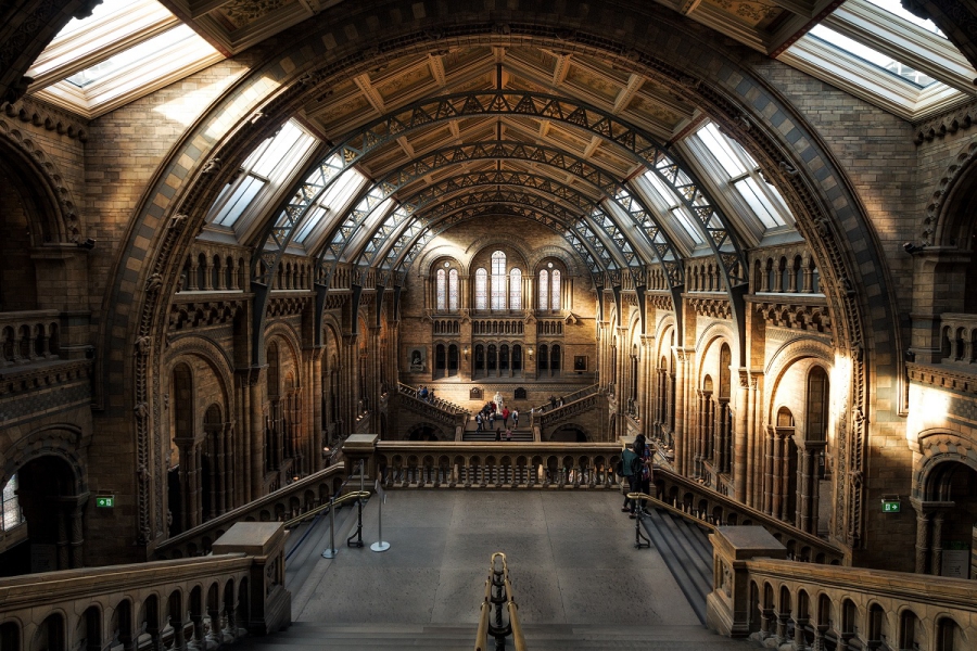 World’s First Online Venue Diagnostic Tool Goes Live