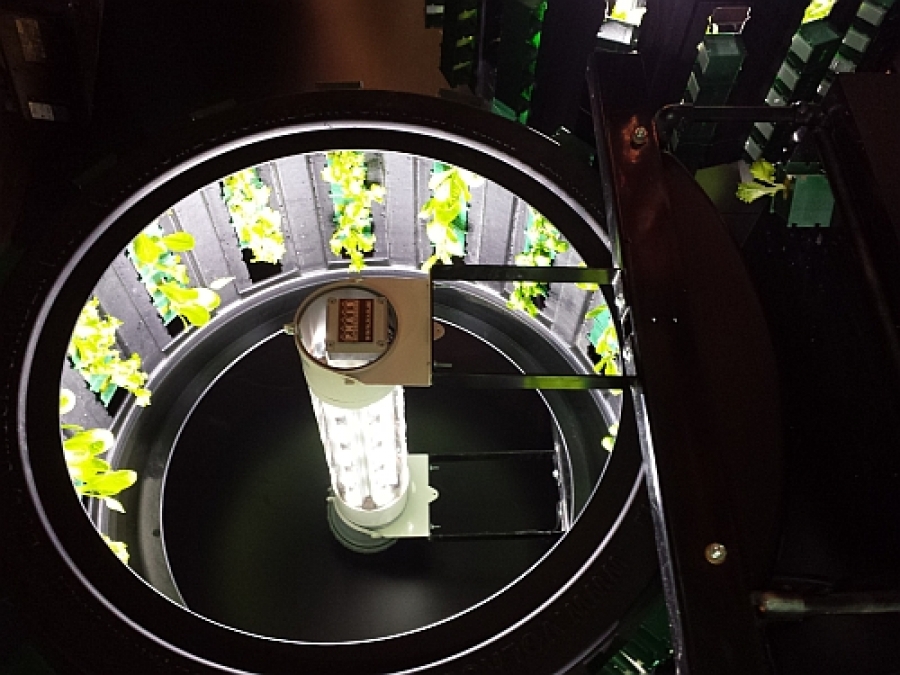 “Expo Milano in beeld: Hoe breng je technologische innovaties tot leven?”
