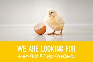 The EGG Brussels &amp; Event Lounge are looking for a Junior Field &amp; Project Coordinator