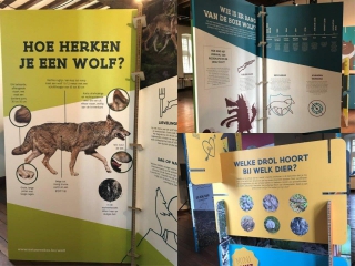 The Oval Office zorgt voor creatieve storytelling op rondreizende expo ‘Wolven in Limburg’