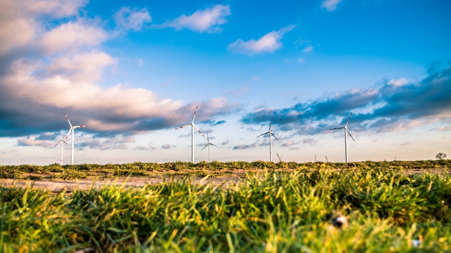 Sustainability Revolution