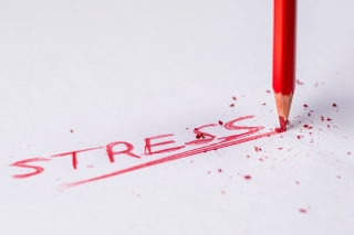 L’ACC lance des cycles sur le Stress Management et la Résistance