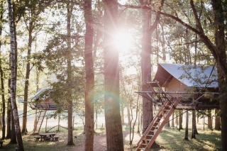 Tree Tents op het Domein van de Grotten van Han nu al bijna volgeboekt voor de zomer