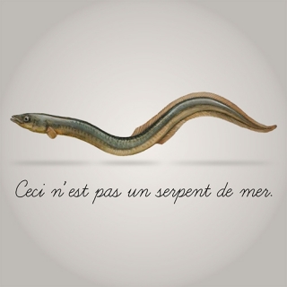 La trêve estivale est le moment idéal pour un événement interne