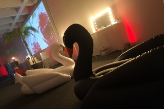 Nouvelle rencontre réussie pour le duo Lapin Quotidien-Yves Rocher
